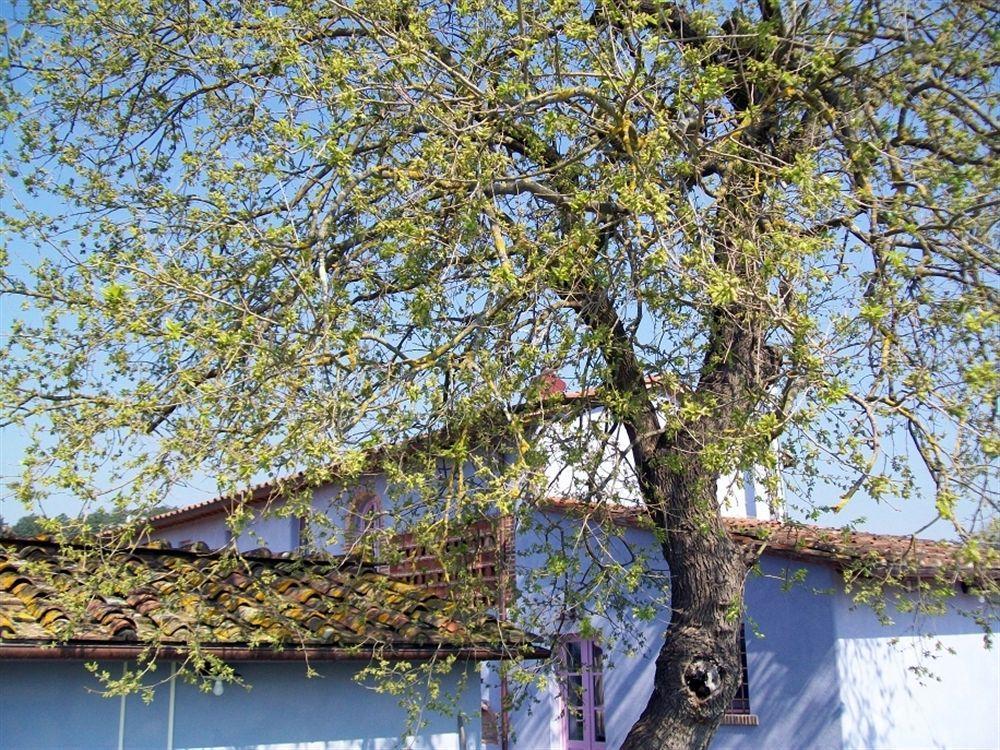 Casa Fontanino Bed and Breakfast Altopascio Εξωτερικό φωτογραφία